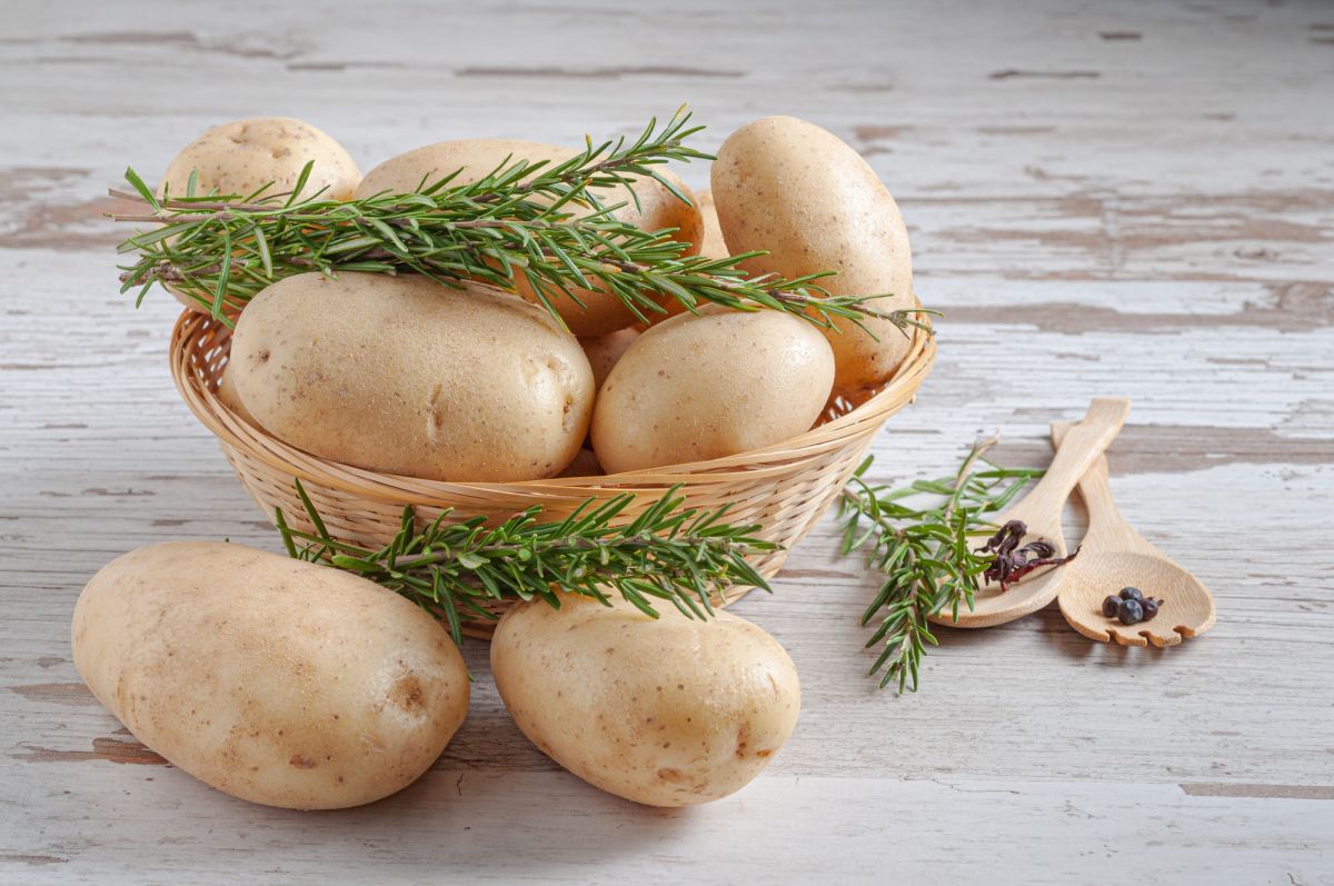 Tutto sulla versatile patata: origine, sostanze nutritive e preparazione di gnocchi, patatine fritte e molto altro ancora.
