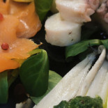 Biga Bite Cibo