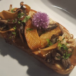 Vegolution Cibo