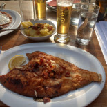 Fischbeisl Volkmar Preis Piatti