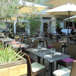 Augusta Cibo