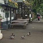 The City Barge people