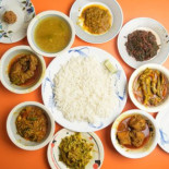 Niharika Cibo