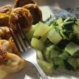 Vegolution Cibo