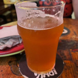 Catbar Cibo