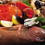 Fish D'vine Cibo