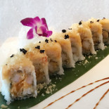 Aria Cibo
