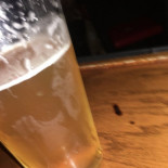 Sidebar Cibo