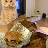 Five Guys Cibo