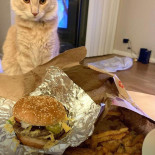 Five Guys Cibo