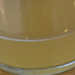 Txotx Cibo