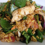 Sumosalad Cibo