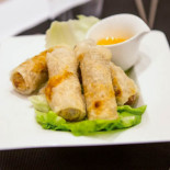 Jackinot Cibo