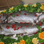 Contro Senso Food
