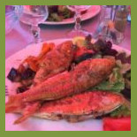 Le Commodore Cibo