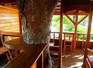 Otantik Ti Resto Nature inside