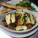 Lazin Lizard Cibo