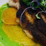 Dolphin Restaurant, Bar, And Lounge Cibo