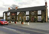 Fox Hounds outside