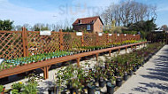 Embleys Nurseries outside