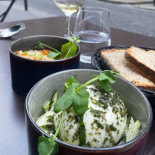 Libellules Cibo