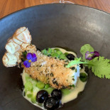 Allium Cibo