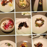 Grace Cibo