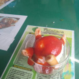 Pajaraca Dentro