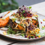 Knut's Witten Cibo