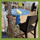 Cage Giraffe Dentro