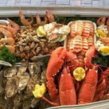 Claws Cibo