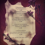 Euphoria Restaurant Bar Piatti