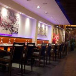 Ipindo Cibo