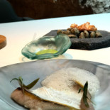 Sucede Cibo
