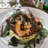 Devona Cibo