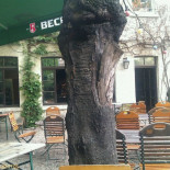 Dumont Cibo