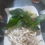 Pho Winner Cibo