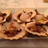L'excelsior Cibo