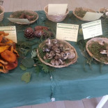 Salumeria E Trattoria Del Casale food