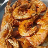 Cuenca Mar Cibo