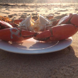 Crabpot Bar Dentro