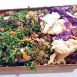 Sumosalad Cibo
