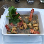 Floh Cibo