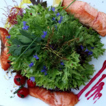 Delphi Cibo