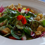 Mercator Cibo