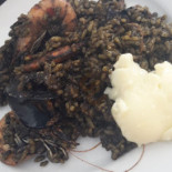 Morrongo Cibo