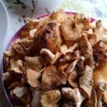 Berlin Cibo