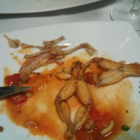 Manolin Cibo