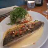 Lazin Lizard Cibo