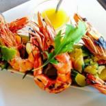 Marlin Cibo